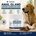 Anal Gland Support Chew