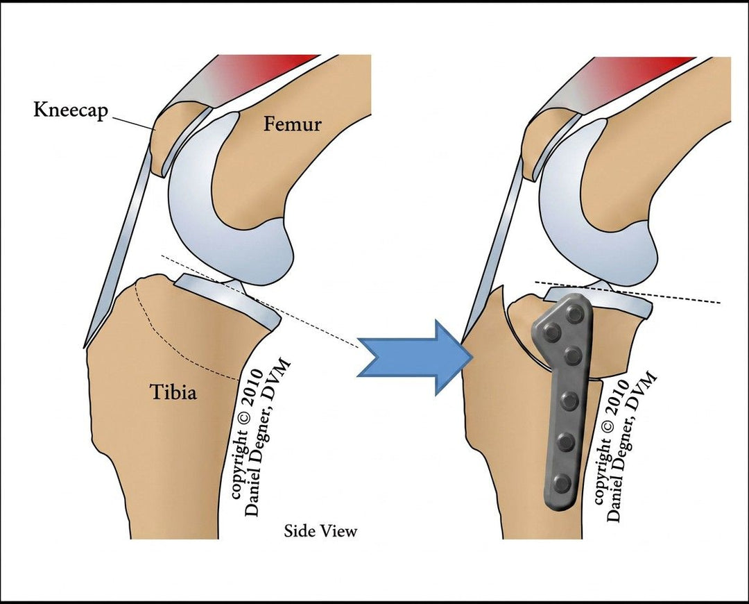 2. Surgery is NOT Healing