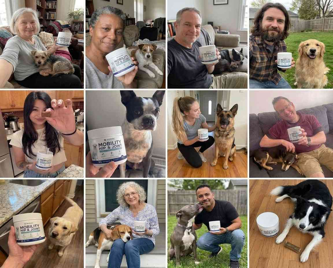 9. Join the 150,000+ Owners Whose Dogs Are Running, Jumping, and Playing Again.