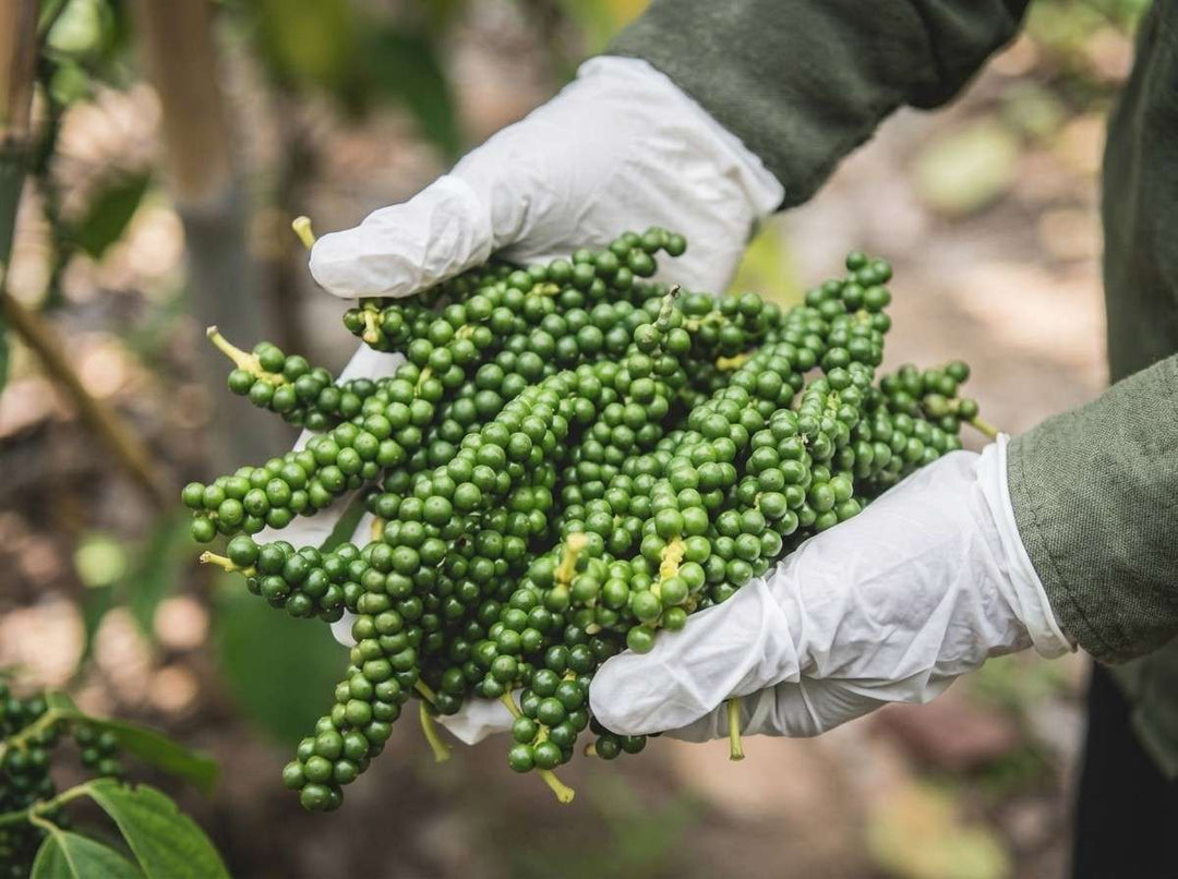 6. One Ingredient Turns The Same Building Blocks Into Real Progress