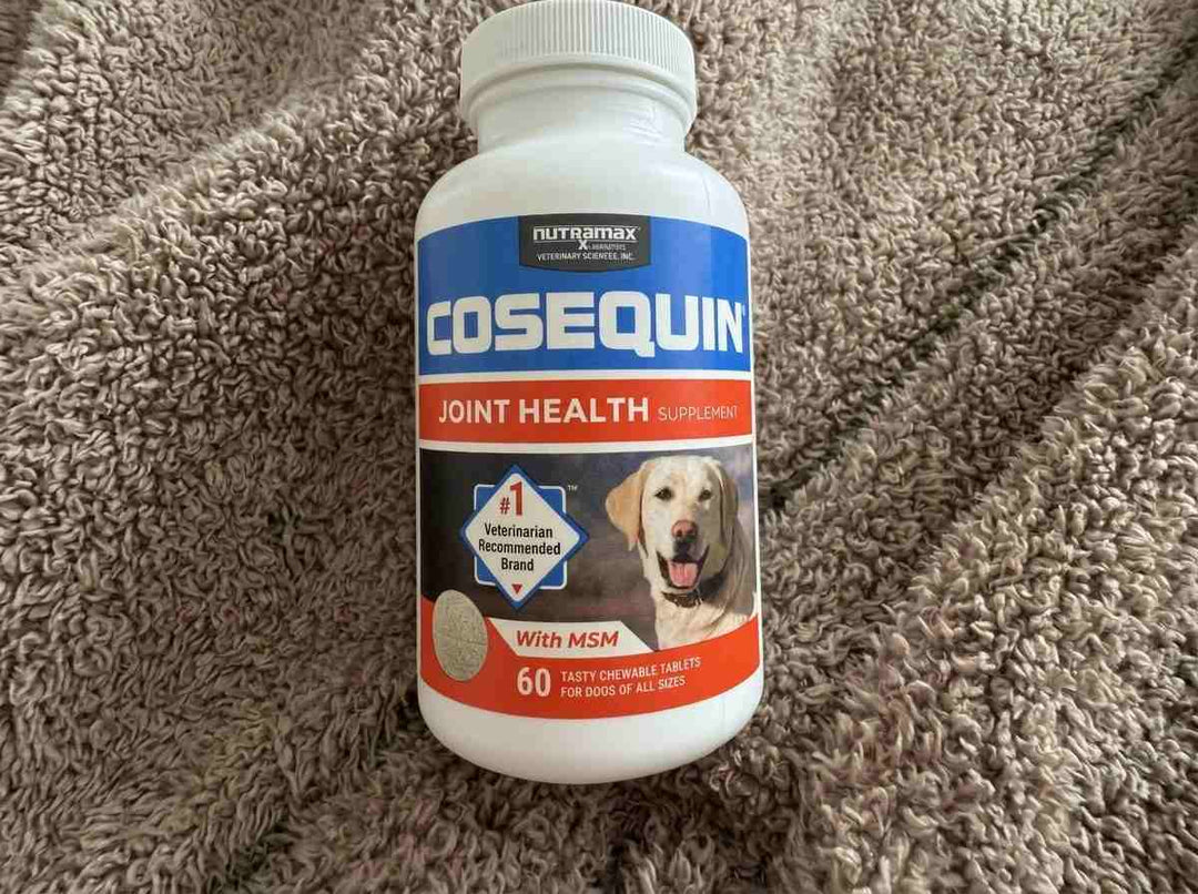 2. Cosequin: Solid for General Joints, Weak for a Torn CCL