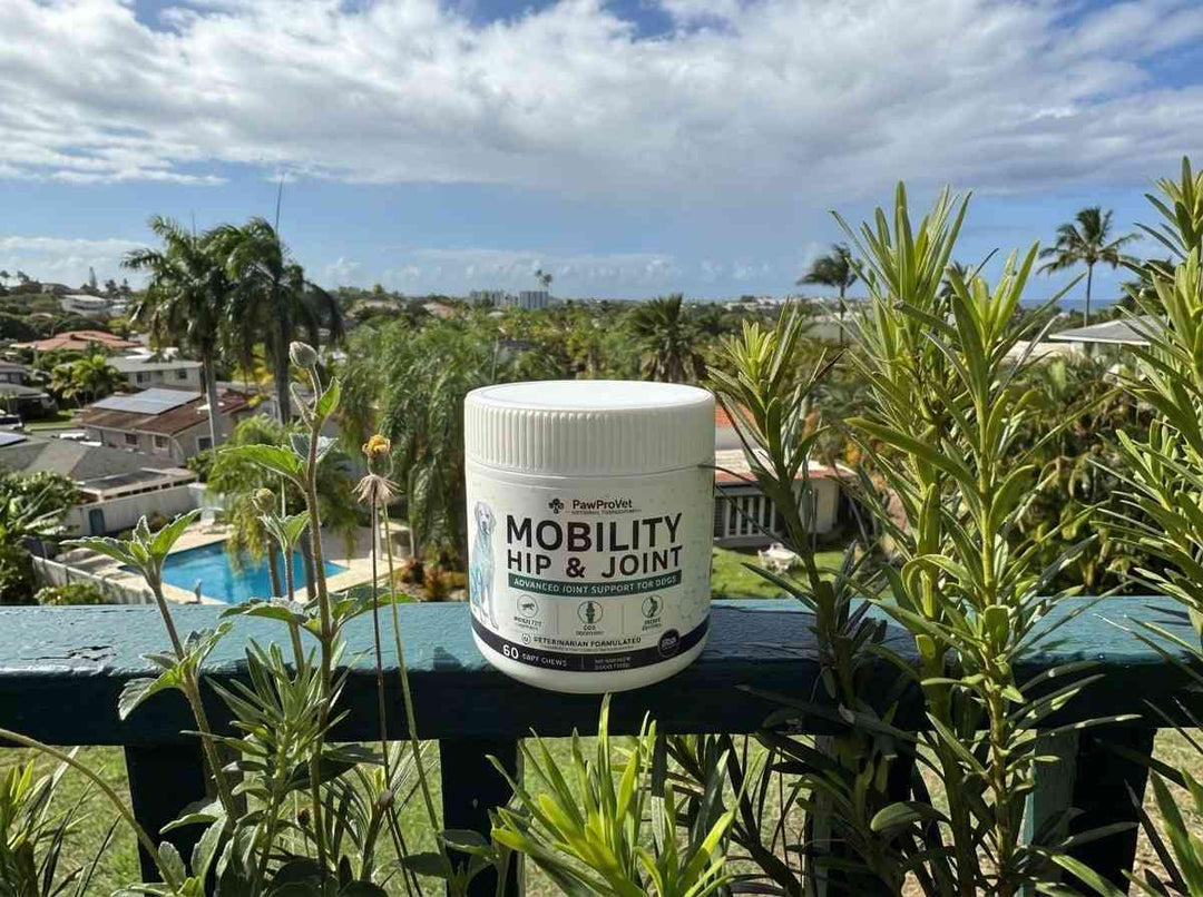 6. Paw Pro Vet: The Only Formula That Kept Ranking #1