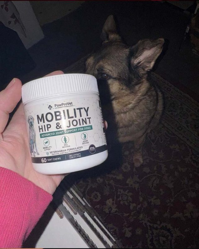 PawProVet customer photo