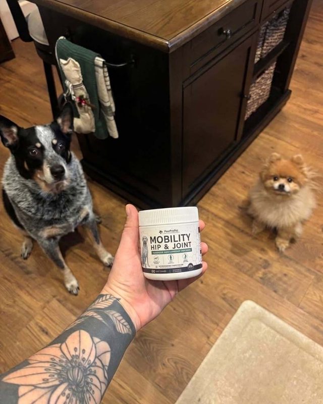 PawProVet customer photo